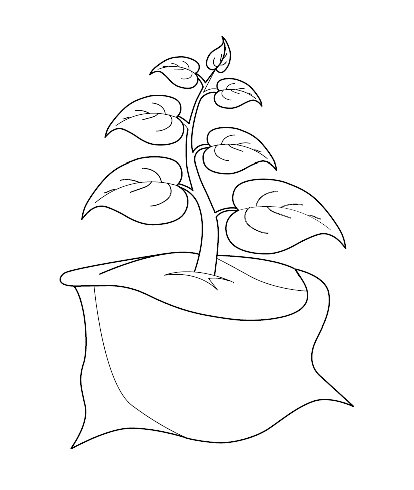 flower pot drawing for kids - Clip Art Library